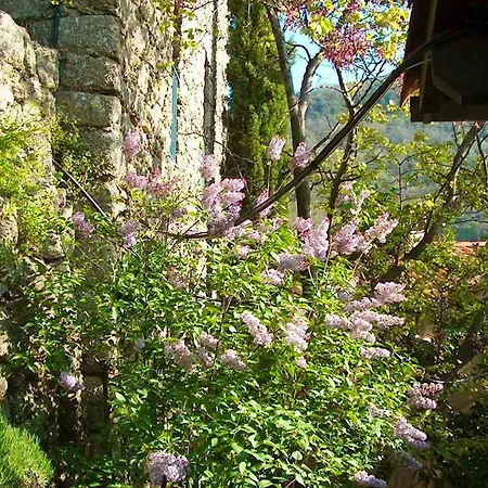 Maison Charmante A Avec Piscine Partagee. Villa Valleraugue